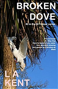 Broken Dove (Paperback)
