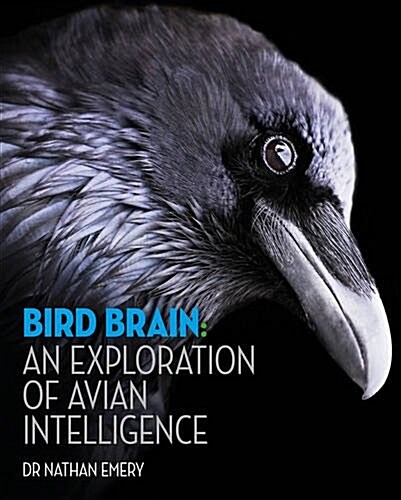 Bird Brain: An Exploration of Avian Intelligence (Hardcover)