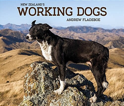 New Zealands Working Dogs (Hardcover)