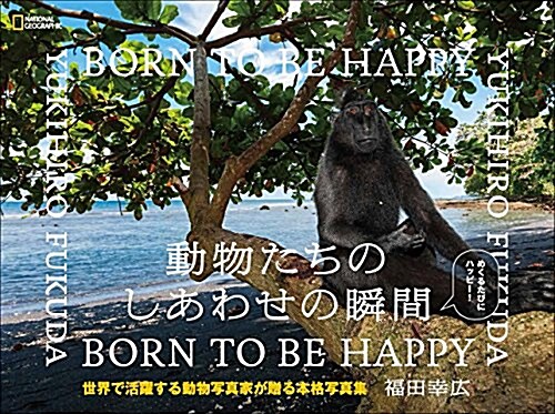 動物たちのしあわせの瞬間 BORN TO BE HAPPY (單行本(ソフトカバ-))