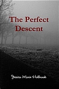 The Perfect Descent (Paperback)