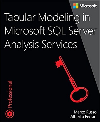 Tabular Modeling in Microsoft SQL Server Analysis Services (Paperback, 2)