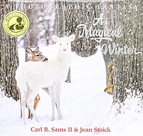 A Magical Winter (Hardcover)