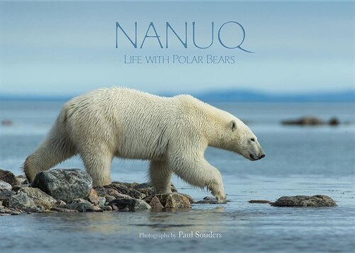 Nanuq: Life with Polar Bears (Hardcover, English)