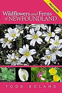 Wildflowers and Ferns of Newfoundland and Labrador: Field Guide (Paperback)