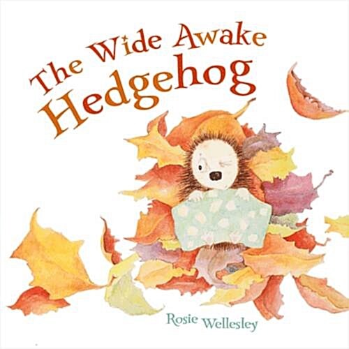 Wide-awake Hedgehog (Paperback)
