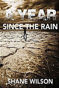 A Year Since the Rain (Paperback)