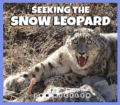 Seeking the Snow Leopard (Hardcover)