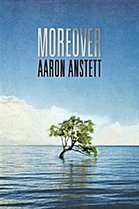 Moreover (Paperback)