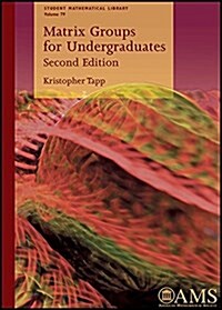 Matrix Groups for Undergraduates (Paperback)