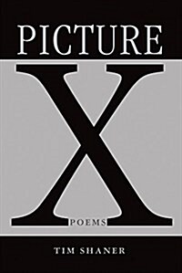 Picture X (Paperback)