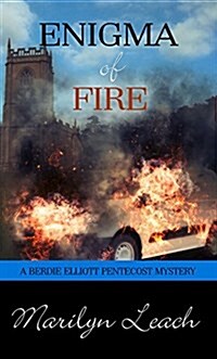 Enigma of Fire (Paperback)