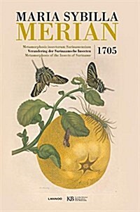 Maria Sibylla Merian: Metamorphosis Insectorum Surinamensium (Hardcover)