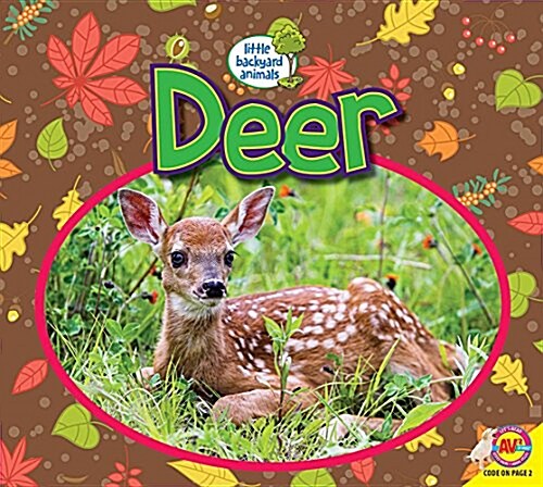 Deer (Paperback)