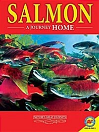 Salmon: A Journey Home (Paperback)