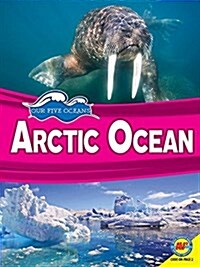 Arctic Ocean (Paperback)
