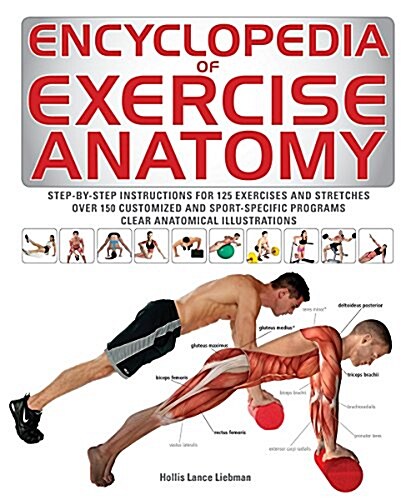 Encyclopedia of Exercise Anatomy (Paperback)