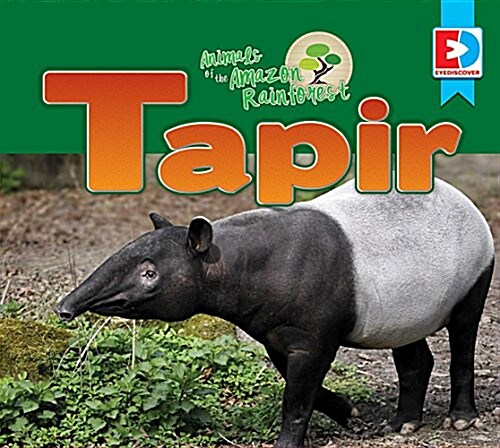 Animals of the Amazon Rainforest: Tapir (Library Binding)