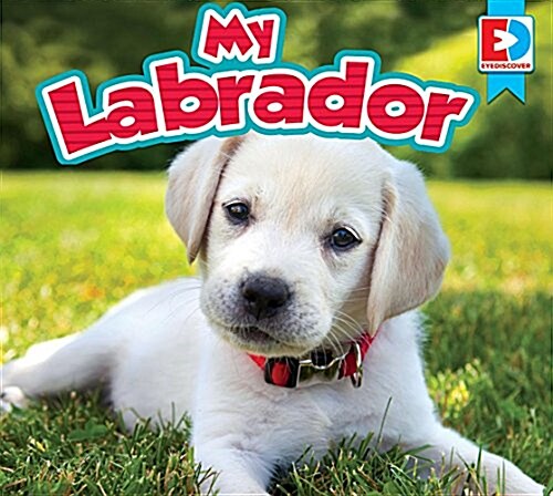 My Labrador (Library Binding)