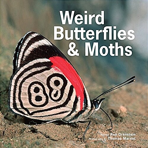 Weird Butterflies and Moths (Paperback)