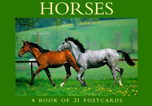 Horse Lovers (Paperback)