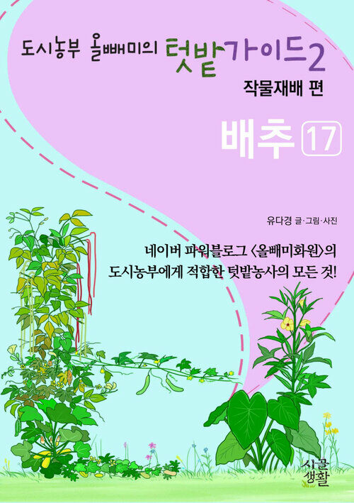 배추