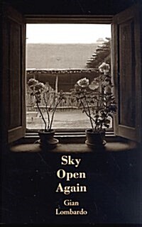 Sky Open Again (Paperback)