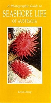 A Photographic Guide to Seashore Life of Australia (Paperback)