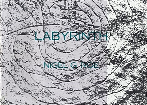 Labyrinth (Paperback)