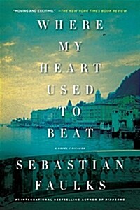 Where my heart used to beat : a novel