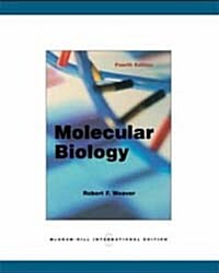 [중고] Molecular Biology (4th Edition, Paperback)