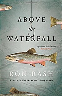 Above the Waterfall (Paperback, Main)