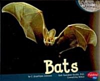 Bats (Paperback)