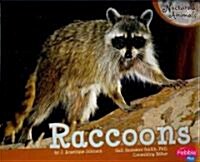 Raccoons (Paperback)