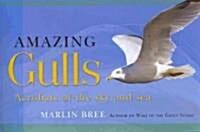 Amazing Gulls: Acrobats of the Sky and Sea (Paperback)