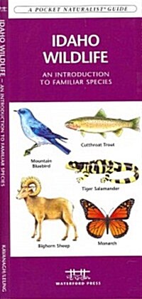 Idaho Wildlife: A Folding Pocket Guide to Familiar Animals (Paperback)