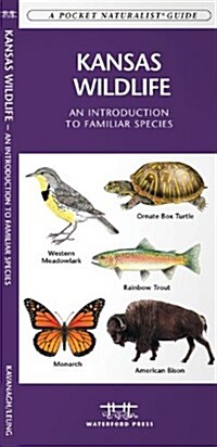 Kansas Wildlife: A Folding Pocket Guide to Familiar Species (Paperback)