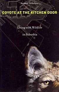 Coyote at the Kitchen Door: Living with Wildlife in Suburbia (Paperback)