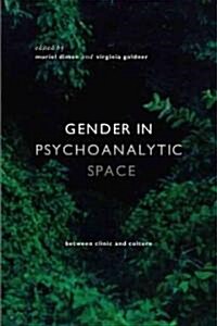Gender in Psychoanalytic Space: Between Clinic and Culture (Paperback)
