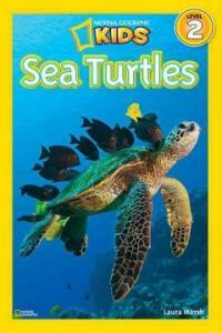 Sea turtles 표지이미지