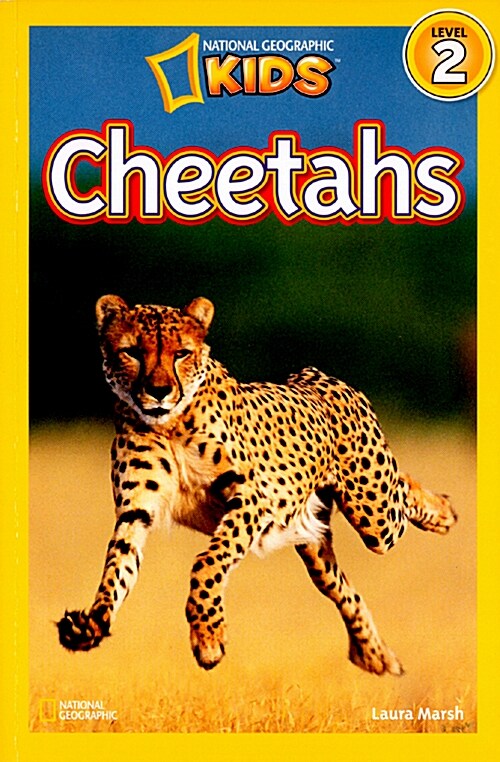 [중고] Cheetahs (Paperback)