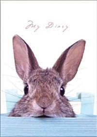Sneaky Bunny [With Lock, 2 Keys] (Hardcover)