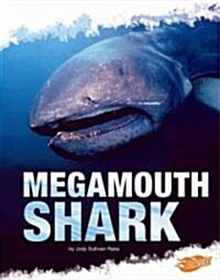 Megamouth Shark (Library Binding)