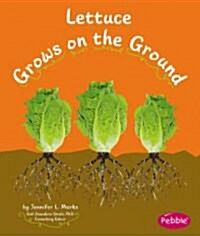 Lettuce Grows on the Ground (Library Binding)