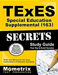 TExES Special Education Supplemental (163) Secrets Study Guide: TExES Test Review for the Texas Examinations of Educator Standards (Paperback)