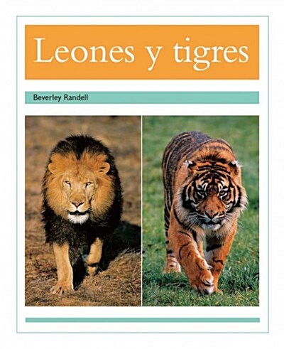 Leones Y Tigres (Lions and Tigers): Individual Student Edition Turquesa (Turquoise) (Paperback)