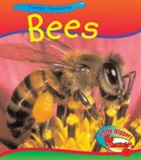 Bee 표지이미지