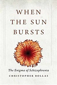 When the Sun Bursts: The Enigma of Schizophrenia (Paperback)