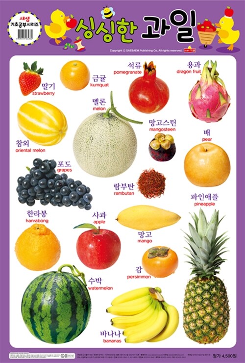싱싱한 과일 (양면 벽보)