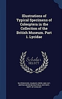 Illustrations of Typical Specimens of Coleoptera in the Collection of the British Museum. Part 1. Lycidae (Hardcover)
